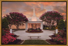 Load image into Gallery viewer, Raleigh Splendor
