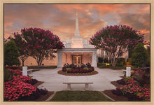 Load image into Gallery viewer, Raleigh Splendor
