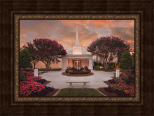 Load image into Gallery viewer, Raleigh Splendor
