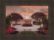 Load image into Gallery viewer, Raleigh Splendor
