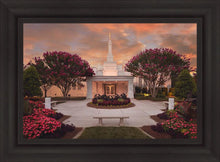 Load image into Gallery viewer, Raleigh Splendor
