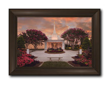 Load image into Gallery viewer, Raleigh Splendor

