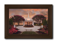 Load image into Gallery viewer, Raleigh Splendor
