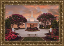 Load image into Gallery viewer, Raleigh Splendor
