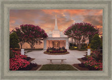 Load image into Gallery viewer, Raleigh Splendor
