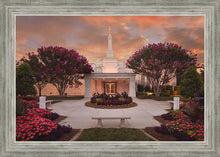 Load image into Gallery viewer, Raleigh Splendor
