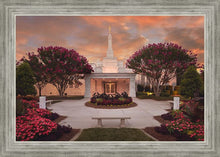 Load image into Gallery viewer, Raleigh Splendor
