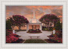 Load image into Gallery viewer, Raleigh Splendor
