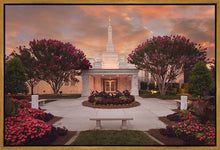 Load image into Gallery viewer, Raleigh Splendor
