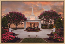 Load image into Gallery viewer, Raleigh Splendor
