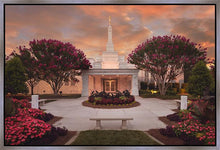 Load image into Gallery viewer, Raleigh Splendor
