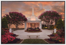 Load image into Gallery viewer, Raleigh Splendor
