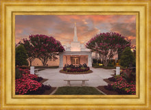 Load image into Gallery viewer, Raleigh Splendor
