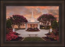 Load image into Gallery viewer, Raleigh Splendor
