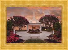 Load image into Gallery viewer, Raleigh Splendor
