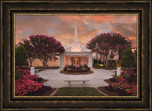 Load image into Gallery viewer, Raleigh Splendor
