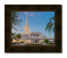 Load image into Gallery viewer, Orlando 02
