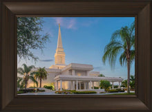 Load image into Gallery viewer, Orlando 02
