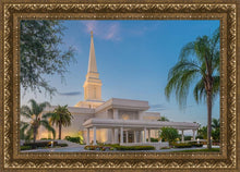 Load image into Gallery viewer, Orlando 02
