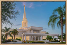 Load image into Gallery viewer, Orlando 02
