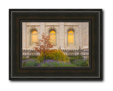 Load image into Gallery viewer, Salt Lake Autumn Detail
