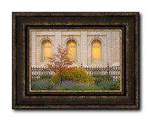 Load image into Gallery viewer, Salt Lake Autumn Detail
