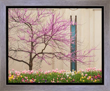 Load image into Gallery viewer, Jordan River Awakening
