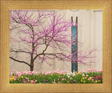 Load image into Gallery viewer, Jordan River Awakening
