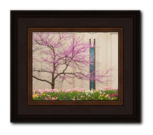 Load image into Gallery viewer, Jordan River Awakening
