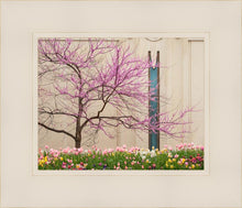 Load image into Gallery viewer, Jordan River Awakening

