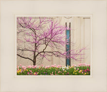 Load image into Gallery viewer, Jordan River Awakening
