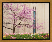 Load image into Gallery viewer, Jordan River Awakening
