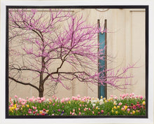 Load image into Gallery viewer, Jordan River Awakening
