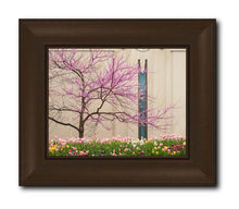 Load image into Gallery viewer, Jordan River Awakening
