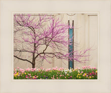 Load image into Gallery viewer, Jordan River Awakening
