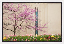 Load image into Gallery viewer, Jordan River Awakening
