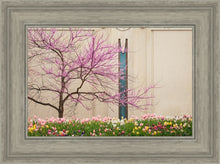 Load image into Gallery viewer, Jordan River Awakening
