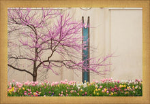Load image into Gallery viewer, Jordan River Awakening
