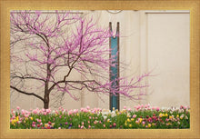 Load image into Gallery viewer, Jordan River Awakening
