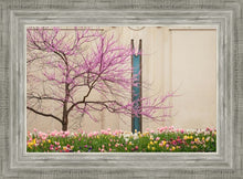 Load image into Gallery viewer, Jordan River Awakening
