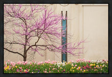 Load image into Gallery viewer, Jordan River Awakening
