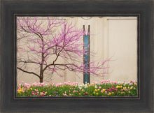 Load image into Gallery viewer, Jordan River Awakening
