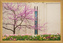 Load image into Gallery viewer, Jordan River Awakening
