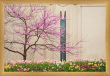 Load image into Gallery viewer, Jordan River Awakening
