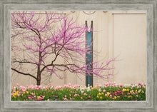Load image into Gallery viewer, Jordan River Awakening
