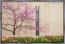 Load image into Gallery viewer, Jordan River Awakening
