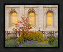 Load image into Gallery viewer, Salt Lake Autumn Detail
