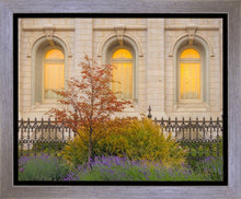 Load image into Gallery viewer, Salt Lake Autumn Detail
