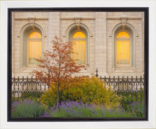 Load image into Gallery viewer, Salt Lake Autumn Detail
