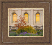 Load image into Gallery viewer, Salt Lake Autumn Detail
